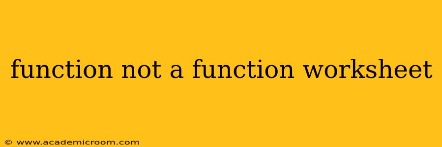 function not a function worksheet