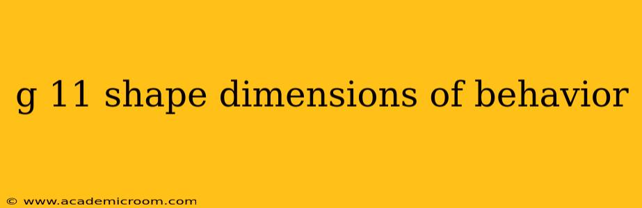 g 11 shape dimensions of behavior