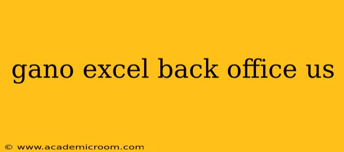 gano excel back office us