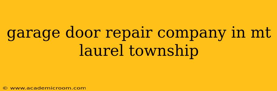 garage door repair company in mt laurel township