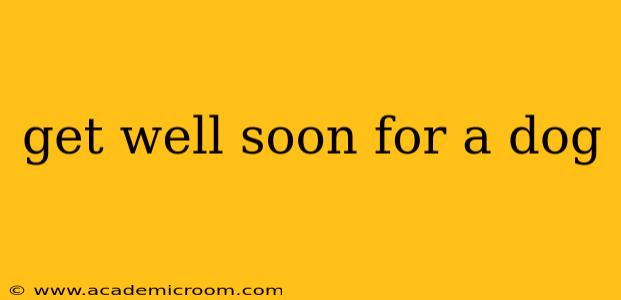 get well soon for a dog