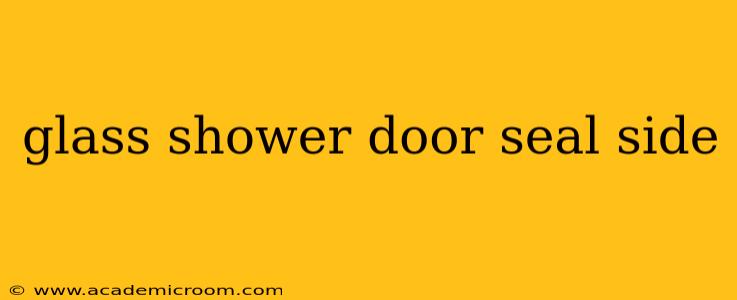 glass shower door seal side