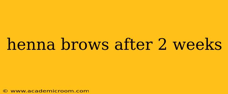 henna brows after 2 weeks
