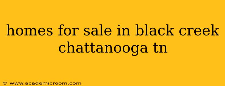 homes for sale in black creek chattanooga tn