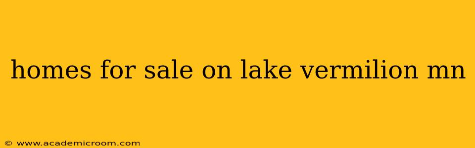 homes for sale on lake vermilion mn
