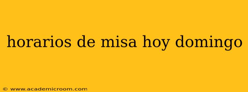 horarios de misa hoy domingo