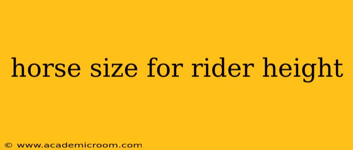 horse size for rider height