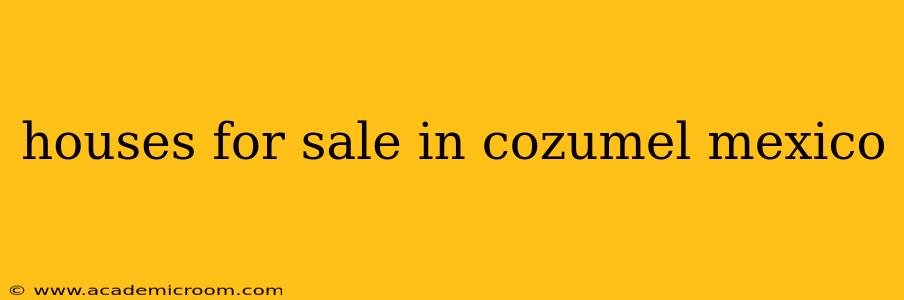 houses for sale in cozumel mexico