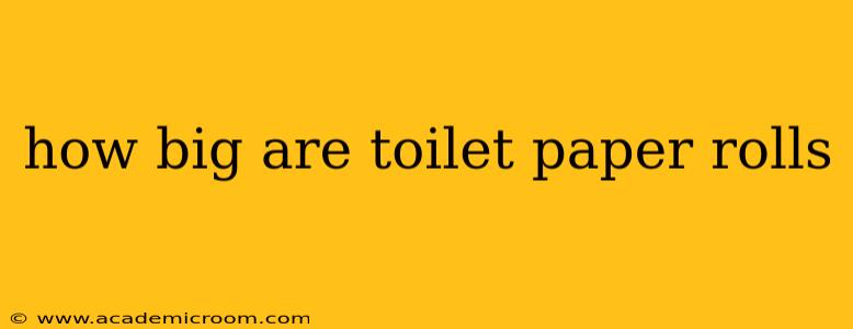 how big are toilet paper rolls