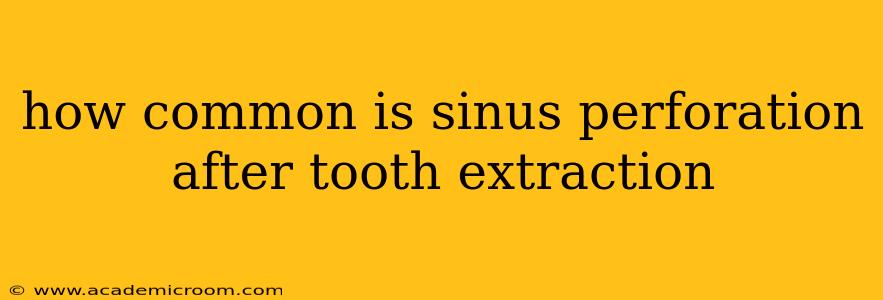how common is sinus perforation after tooth extraction