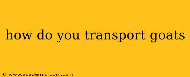 how do you transport goats