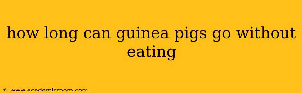 how long can guinea pigs go without eating