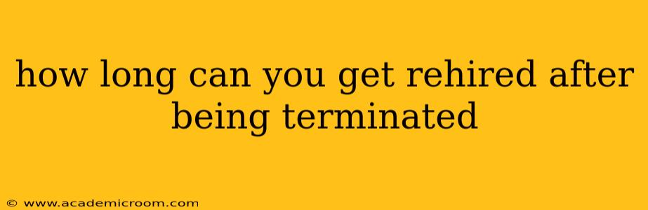 how long can you get rehired after being terminated