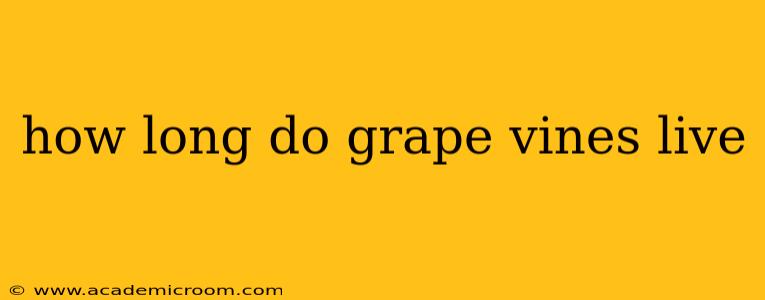 how long do grape vines live
