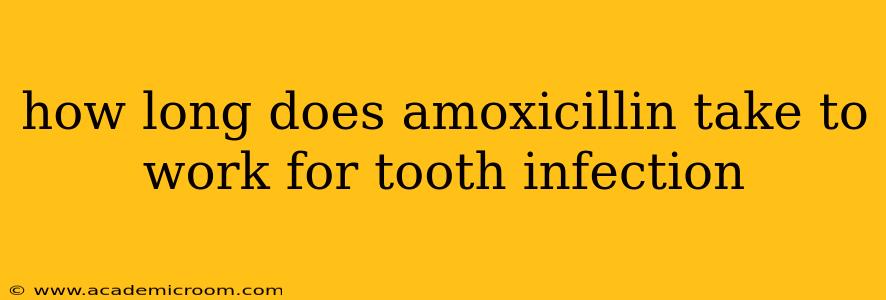 how long does amoxicillin take to work for tooth infection