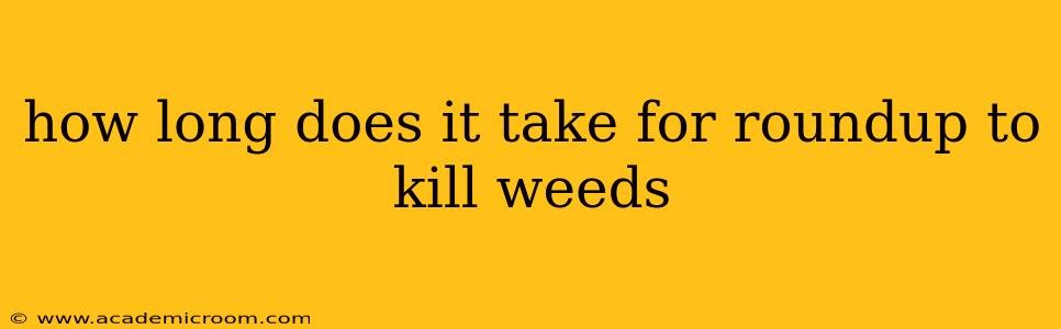 how long does it take for roundup to kill weeds