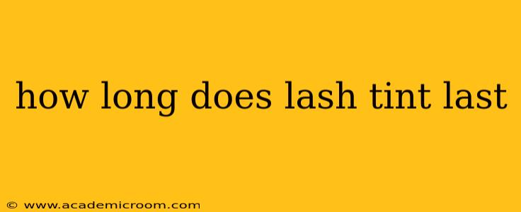 how long does lash tint last