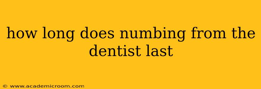how long does numbing from the dentist last