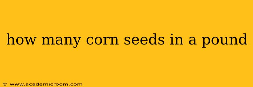 how many corn seeds in a pound