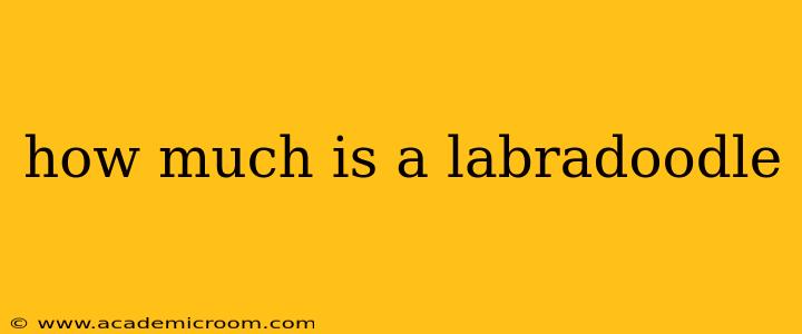 how much is a labradoodle