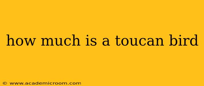how much is a toucan bird