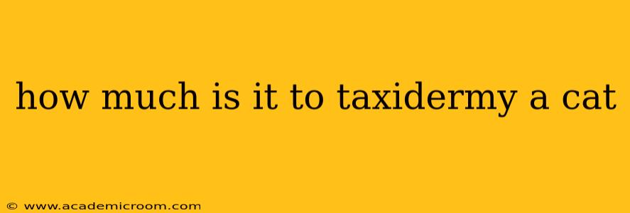 how much is it to taxidermy a cat