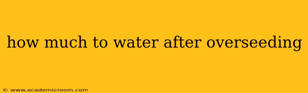 how much to water after overseeding