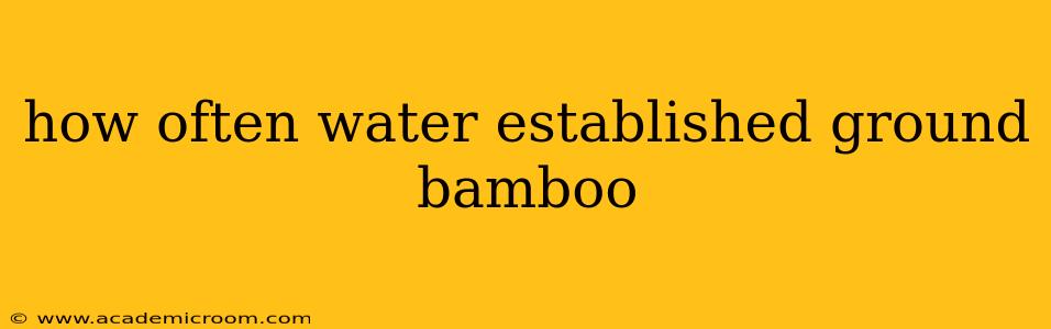 how often water established ground bamboo