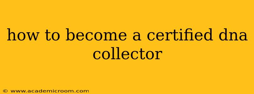 how to become a certified dna collector