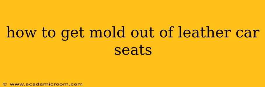how to get mold out of leather car seats