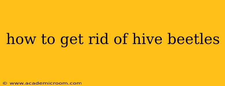 how to get rid of hive beetles