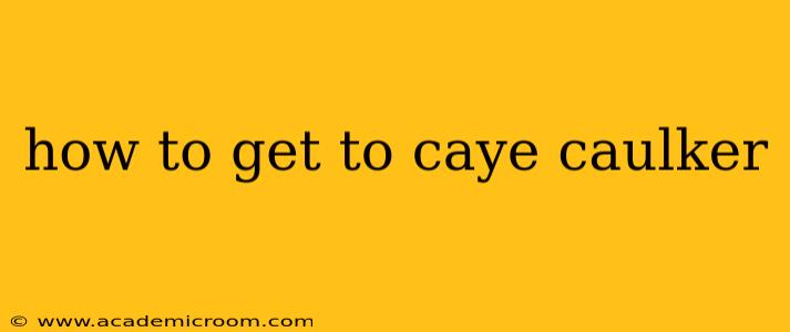 how to get to caye caulker