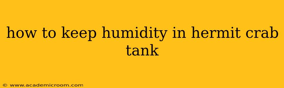 how to keep humidity in hermit crab tank