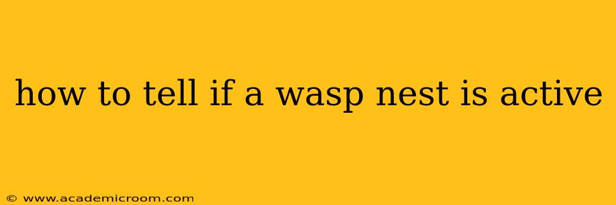 how to tell if a wasp nest is active