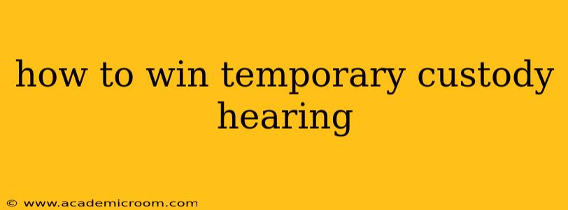 how to win temporary custody hearing