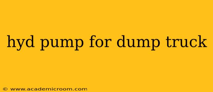 hyd pump for dump truck