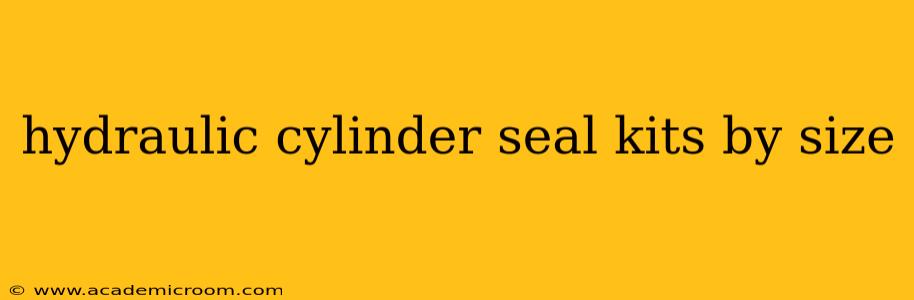 hydraulic cylinder seal kits by size