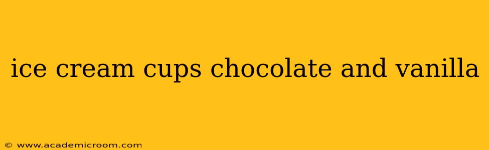 ice cream cups chocolate and vanilla