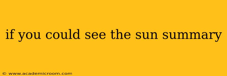 if you could see the sun summary