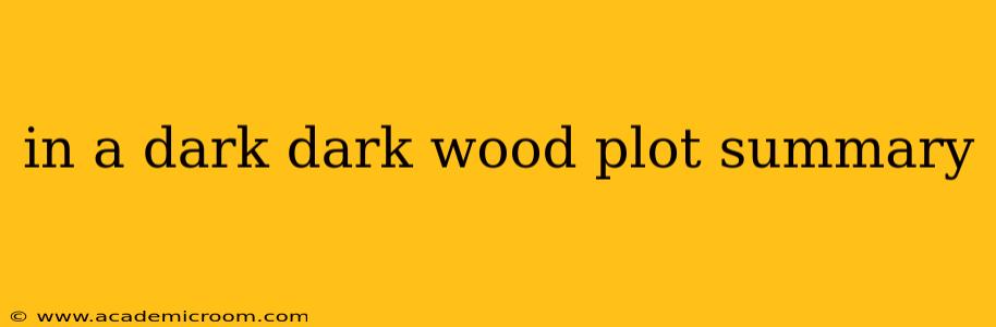 in a dark dark wood plot summary