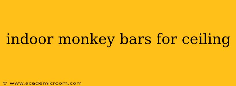 indoor monkey bars for ceiling