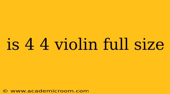 is 4 4 violin full size