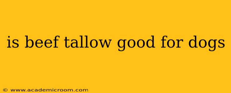 is beef tallow good for dogs