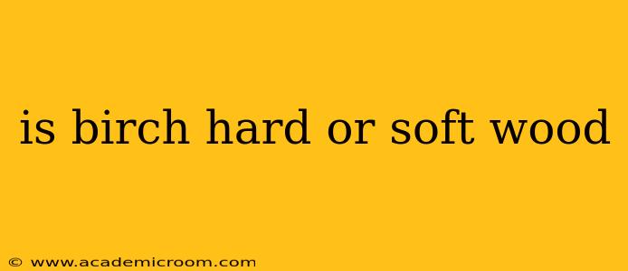 is birch hard or soft wood