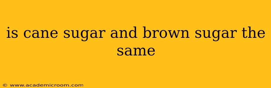 is cane sugar and brown sugar the same