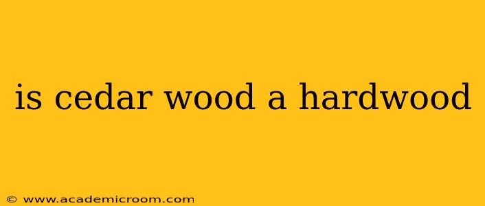 is cedar wood a hardwood