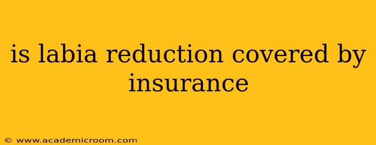 is labia reduction covered by insurance