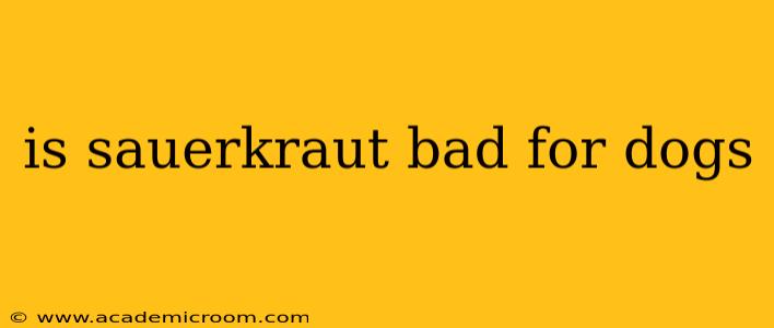 is sauerkraut bad for dogs