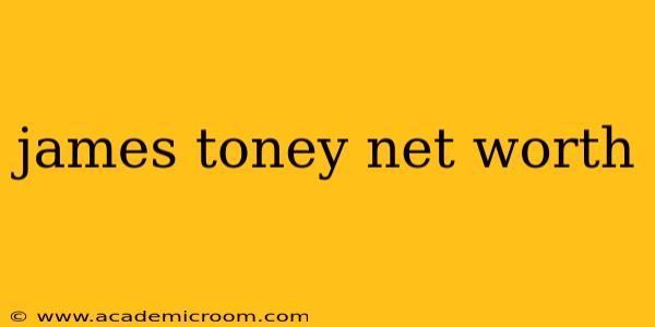james toney net worth