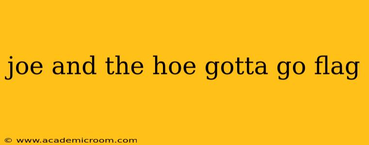 joe and the hoe gotta go flag